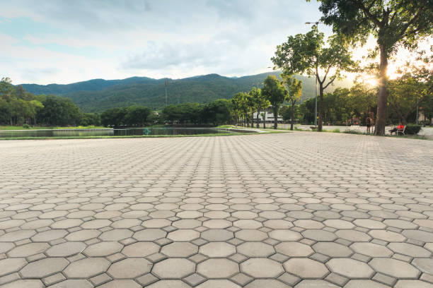 Best Professional Driveway Pavers  in Welcome, NC